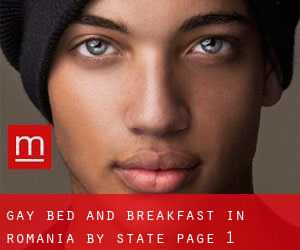 Gay Bed and Breakfast in Romania by State - page 1