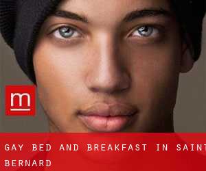 Gay Bed and Breakfast in Saint Bernard