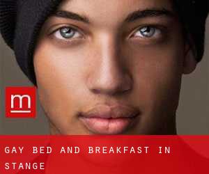Gay Bed and Breakfast in Stange