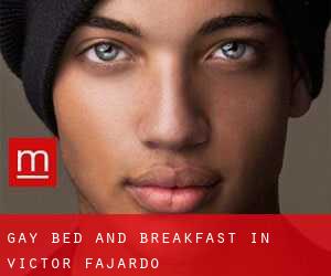 Gay Bed and Breakfast in Víctor Fajardo