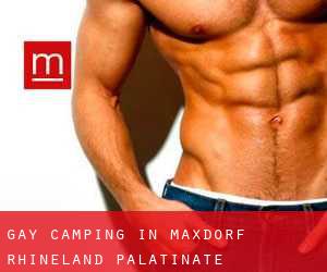 Gay Camping in Maxdorf (Rhineland-Palatinate)