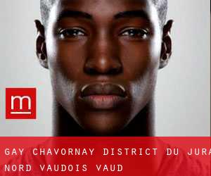 gay Chavornay (District du Jura-Nord vaudois, Vaud)