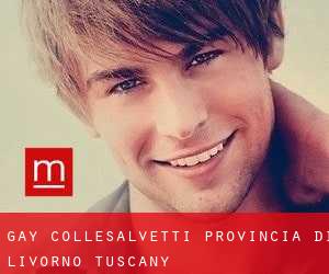 gay Collesalvetti (Provincia di Livorno, Tuscany)