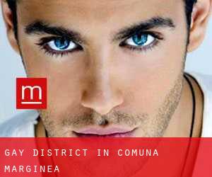 Gay District in Comuna Marginea