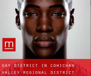 Gay District in Cowichan Valley Regional District