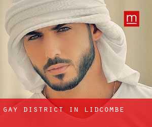 Gay District in Lidcombe