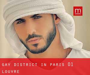 Gay District in Paris 01 Louvre
