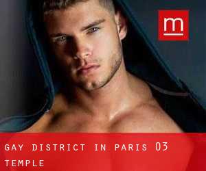 Gay District in Paris 03 Temple