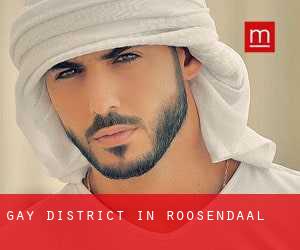 Gay District in Roosendaal