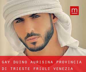 gay Duino-Aurisina (Provincia di Trieste, Friuli Venezia Giulia)
