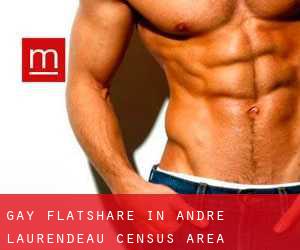 Gay Flatshare in André-Laurendeau (census area)