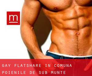 Gay Flatshare in Comuna Poienile de sub Munte