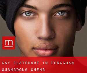 Gay Flatshare in Dongguan (Guangdong Sheng)