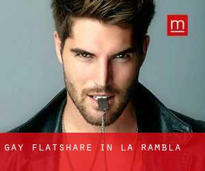 Gay Flatshare in La Rambla