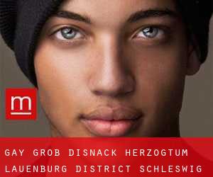gay Groß Disnack (Herzogtum Lauenburg District, Schleswig-Holstein)