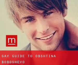 gay guide to Obshtina Boboshevo