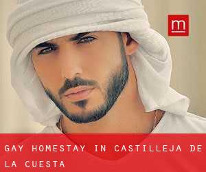 Gay Homestay in Castilleja de la Cuesta