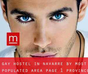Gay Hostel in Navarre by most populated area - page 1 (Province)