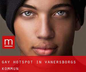 Gay Hotspot in Vänersborgs Kommun