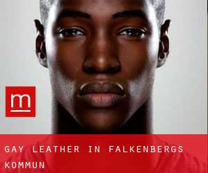 Gay Leather in Falkenbergs Kommun