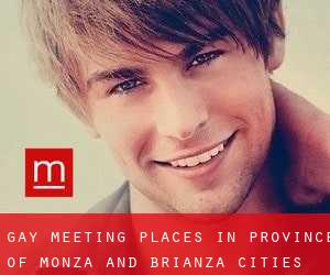 gay meeting places in Province of Monza and Brianza (Cities) - page 1