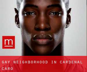 Gay Neighborhood in Cardenal Caro