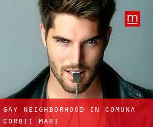 Gay Neighborhood in Comuna Corbii Mari
