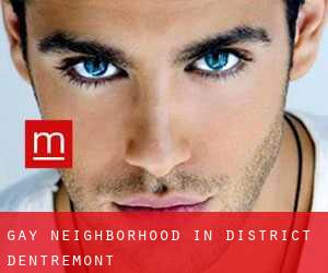 Gay Neighborhood in District d'Entremont