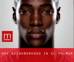 Gay Neighborhood in El Palmar