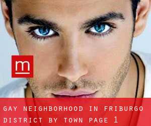 Gay Neighborhood in Friburgo District by town - page 1