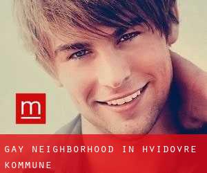 Gay Neighborhood in Hvidovre Kommune