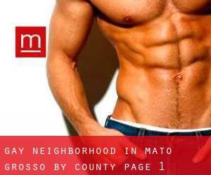Gay Neighborhood in Mato Grosso by County - page 1