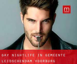 Gay Nightlife in Gemeente Leidschendam-Voorburg