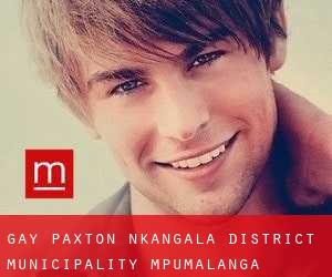 gay Paxton (Nkangala District Municipality, Mpumalanga)