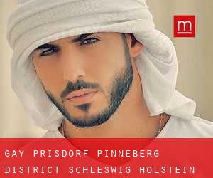 gay Prisdorf (Pinneberg District, Schleswig-Holstein)