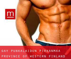 gay Punkalaidun (Pirkanmaa, Province of Western Finland)