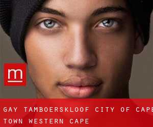 gay Tamboerskloof (City of Cape Town, Western Cape)
