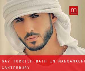 Gay Turkish Bath in Mangamaunu (Canterbury)