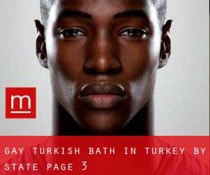 Gay Turkish Bath in Turkey by State - page 3