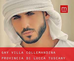 gay Villa Collemandina (Provincia di Lucca, Tuscany)