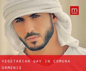 Vegetarian Gay in Comuna Ormeniş