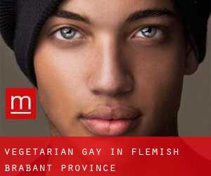 Vegetarian Gay in Flemish Brabant Province