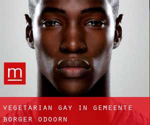 Vegetarian Gay in Gemeente Borger-Odoorn