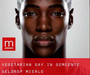 Vegetarian Gay in Gemeente Geldrop-Mierlo