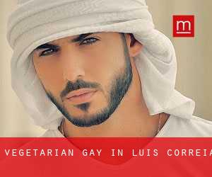 Vegetarian Gay in Luís Correia