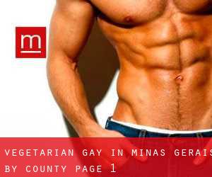 Vegetarian Gay in Minas Gerais by County - page 1
