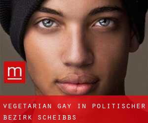 Vegetarian Gay in Politischer Bezirk Scheibbs