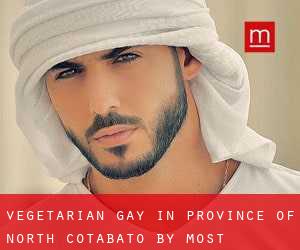 Vegetarian Gay in Province of North Cotabato by most populated area - page 1