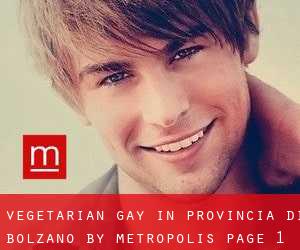 Vegetarian Gay in Provincia di Bolzano by metropolis - page 1